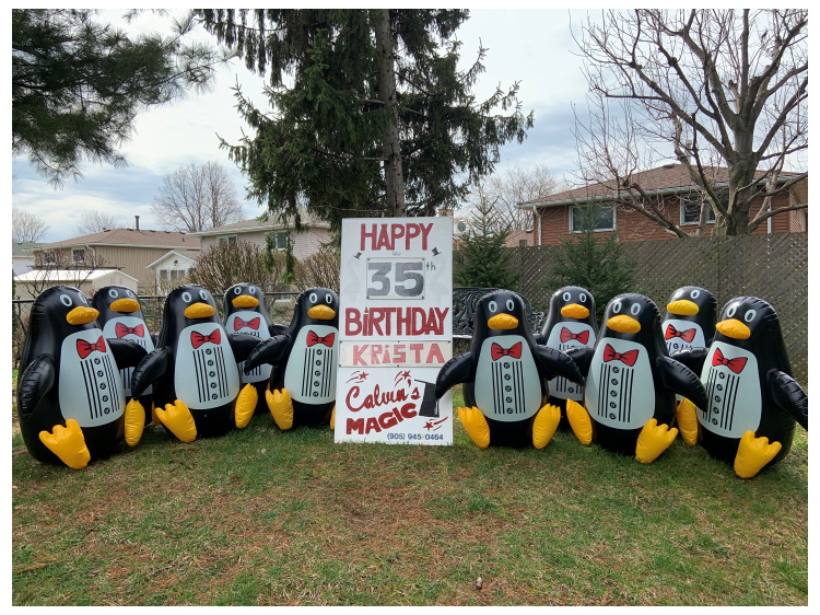 a row of penguins