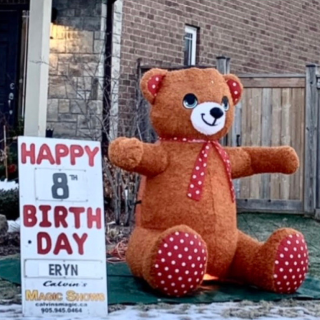 birthday bear lawn rentals