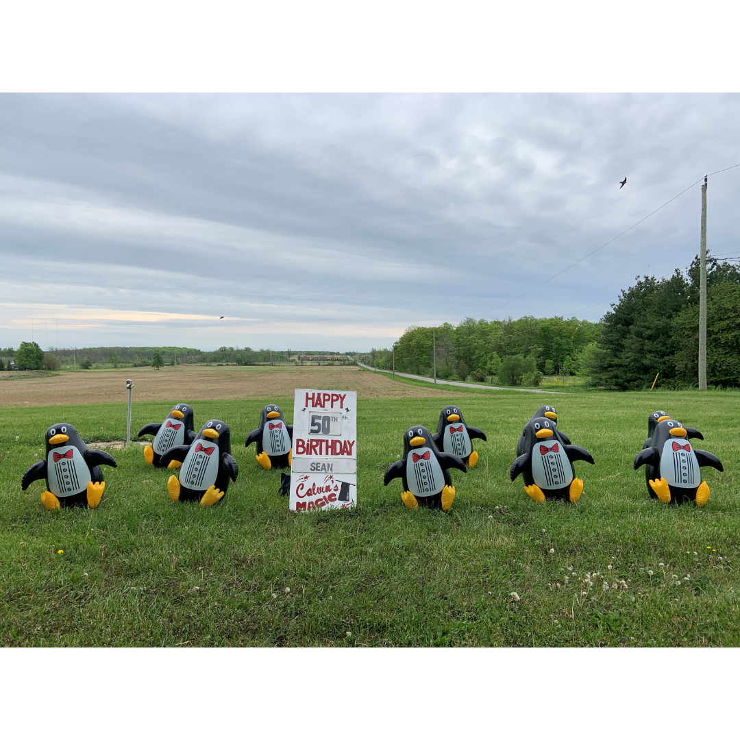 penguin lawn rental signs